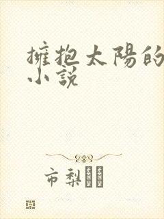 拥抱太阳的月亮小说