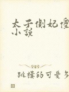 太子侧妃傻乎乎小说