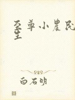 至尊小农民王木生