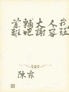 首辅大人我们和离吧谢容珏