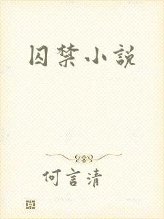 囚禁小说