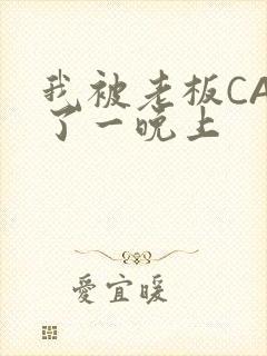 我被老板CAO了一晚上