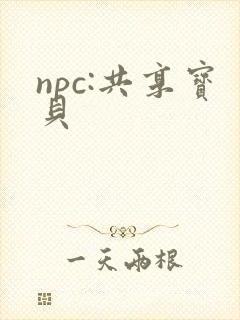npc:共享宝贝