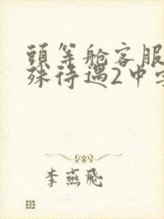 头等舱客服的特殊待遇2中字