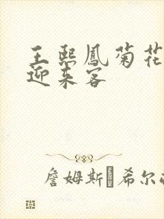 王熙凤菊花门初迎来客