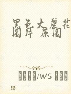 黑色大丽花真实图片 原图