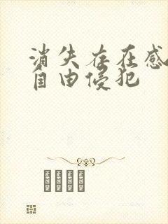 消失存在感消失自由侵犯