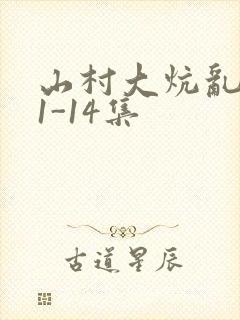 山村大炕乱肉续1-14集