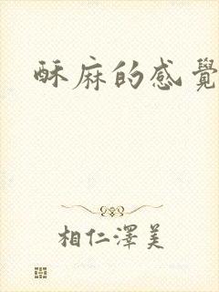 酥麻的感觉小说