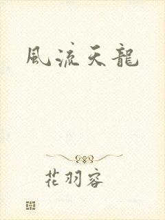 风流天龙