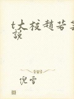 t大校赵若芸小说