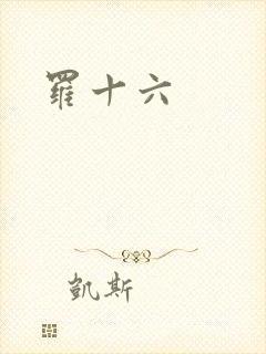 罗十六