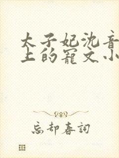 太子妃沈音和皇上的宠文小说