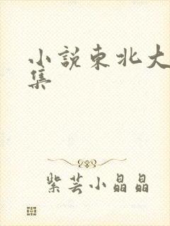 小说东北大炕全集