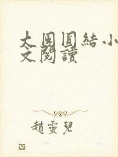 大团圆结小茹全文阅读