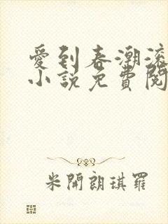 爱到春潮滚滚来小说免费阅读