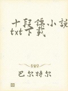十段锦小说全本txt下载