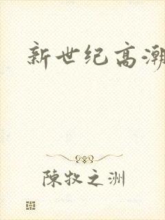 新世纪高潮战队