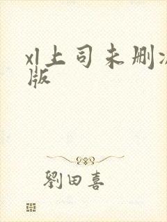 xl上司未删减版