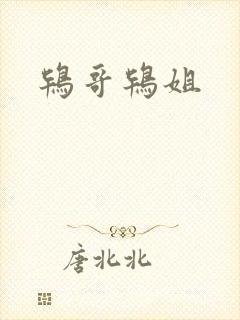 鸨哥鸨姐