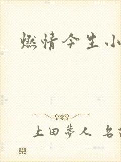 燃情今生小说