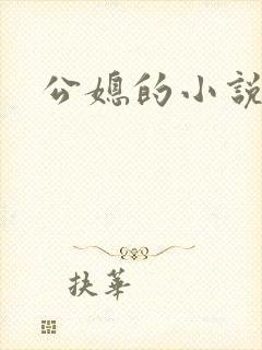 公媳的小说