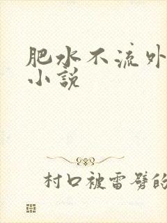 肥水不流外人田小说