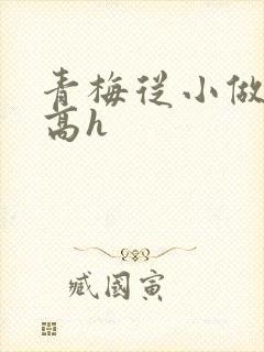 青梅从小做到大高h