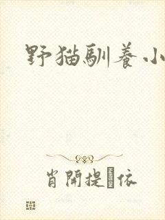 野猫驯养小说