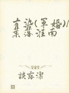 有染(军婚)/叶落淮南