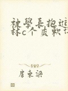 被学长抱进小树林c个爽软件