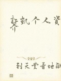 许凯个人资料简介