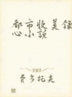 都市收美录宁素心小说