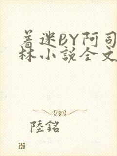 着迷BY阿司匹林小说全文免费阅读