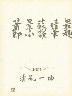 萧晨苏晴最新章节小说笔趣阁