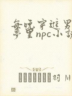 每晚穿进男神的梦里npc小说