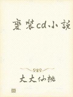 变装cd小说