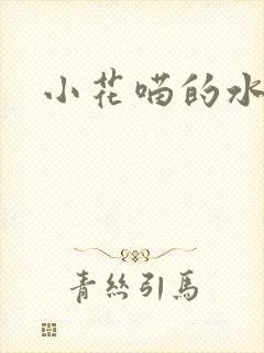 小花喵的水蜜桃