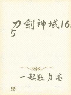 刀剑神域16.5