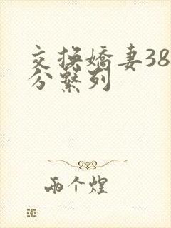 交换娇妻38部分系列