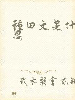 种田文是什么意思