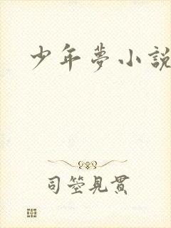 少年梦小说封面