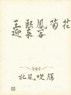 王熙凤菊花门初迎来客