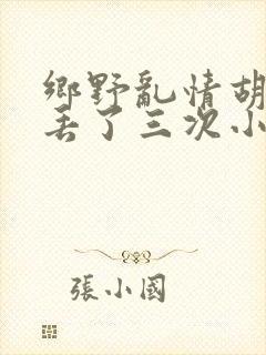 乡野乱情胡秀英丢了三次小说封面