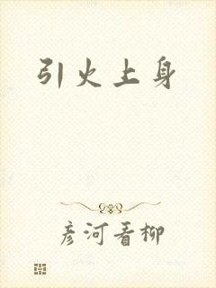 引火上身封面