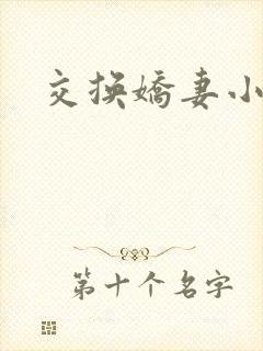 交换娇妻小说