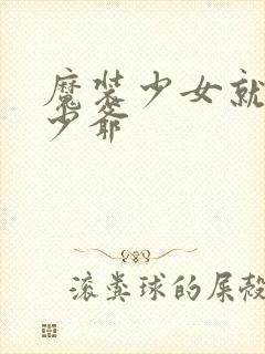 魔装少女就是本少爷