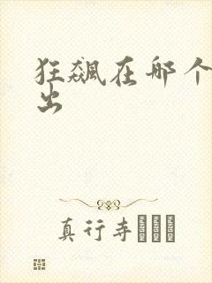 狂飙在哪个台播出