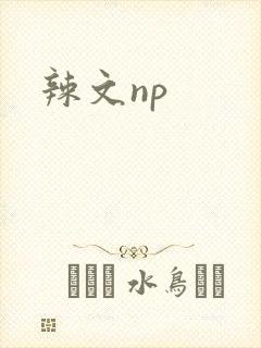 辣文np
