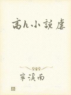 高h小说虐